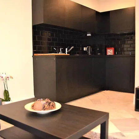 Traditional Modern Centre Apartament Antwerpia
